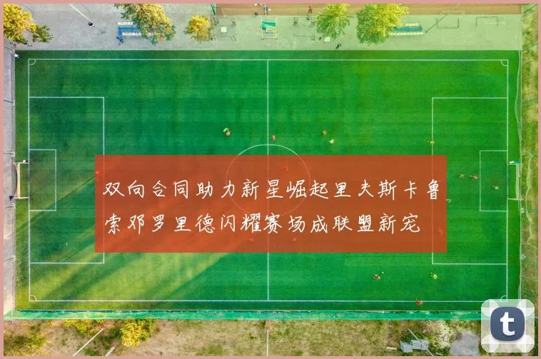 双向合同助力新星崛起里夫斯卡鲁索邓罗里德闪耀赛场成联盟新宠