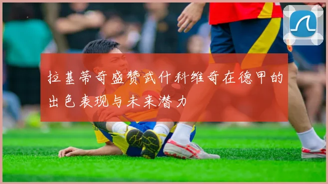 拉基蒂奇盛赞武什科维奇在德甲的出色表现与未来潜力